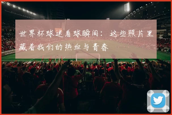 世界杯球迷看球瞬间：这些照片里藏着我们的热血与青春