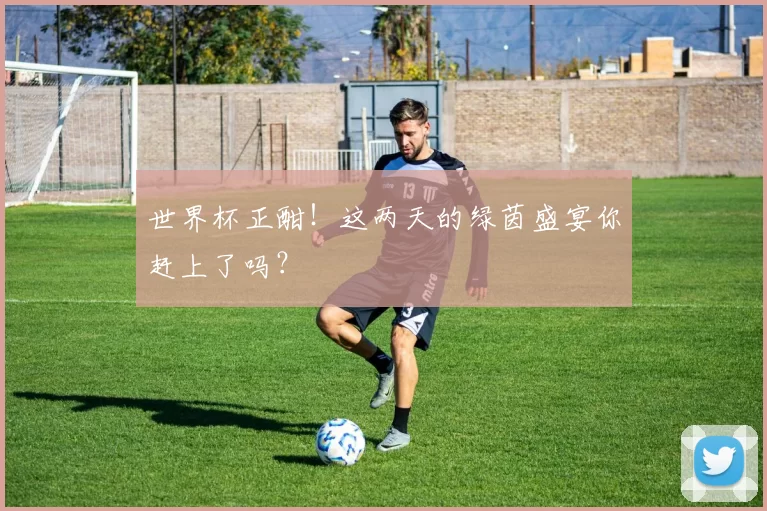 世界杯正酣！这两天的绿茵盛宴你赶上了吗？