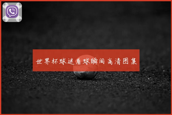 世界杯球迷看球瞬间高清图集