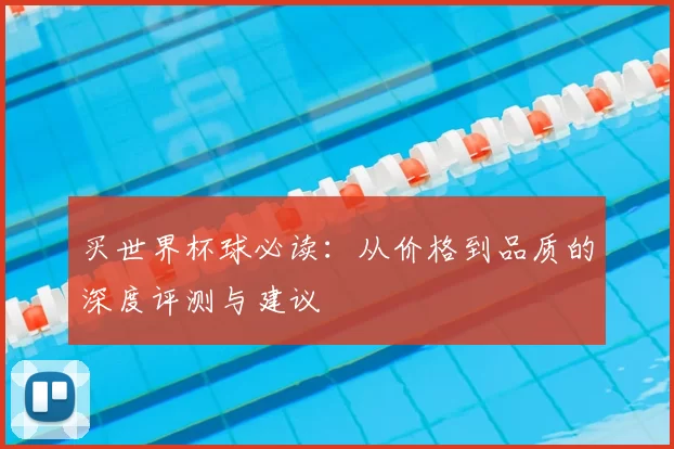 买世界杯球必读：从价格到品质的深度评测与建议