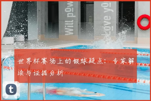 世界杯赛场上的假球疑点：专家解读与证据分析