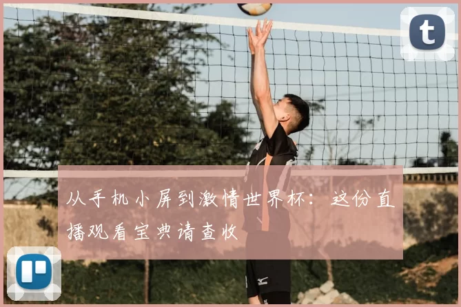 从手机小屏到激情世界杯：这份直播观看宝典请查收