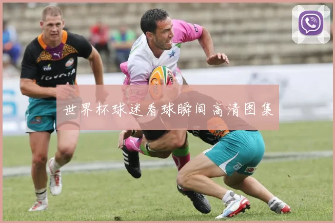 世界杯球迷看球瞬间高清图集