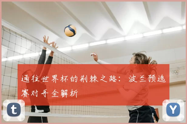 通往世界杯的荆棘之路：波兰预选赛对手全解析