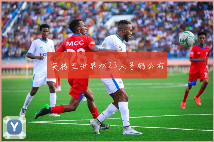 英格兰世界杯23人号码公布