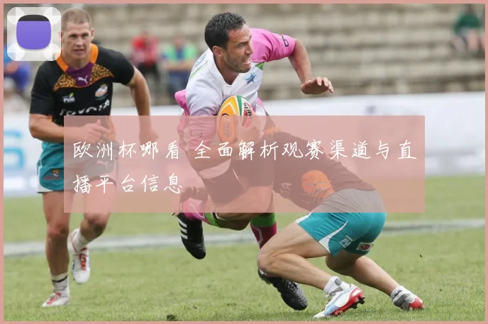 欧洲杯哪看 全面解析观赛渠道与直播平台信息