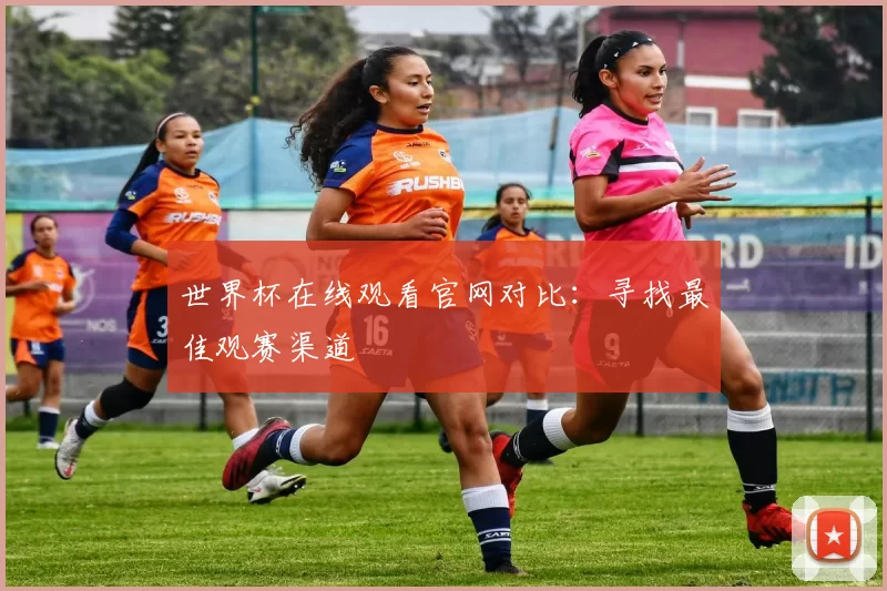世界杯在线观看官网对比：寻找最佳观赛渠道