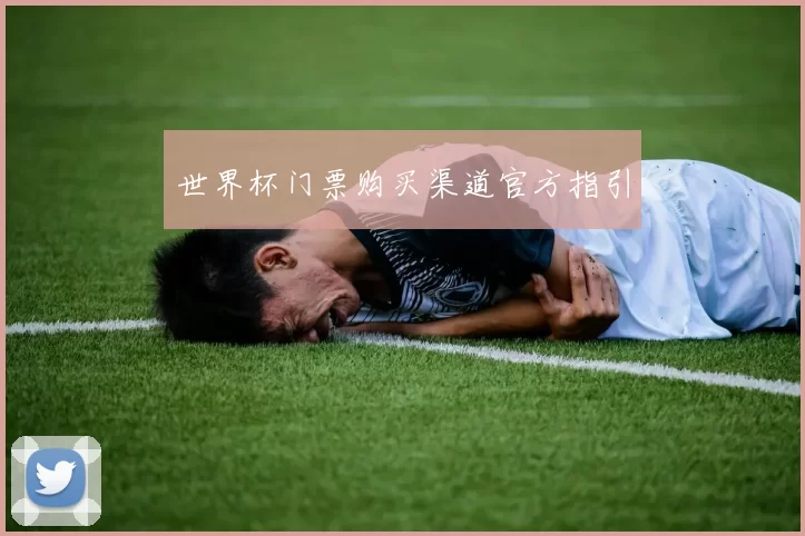 世界杯门票购买渠道官方指引