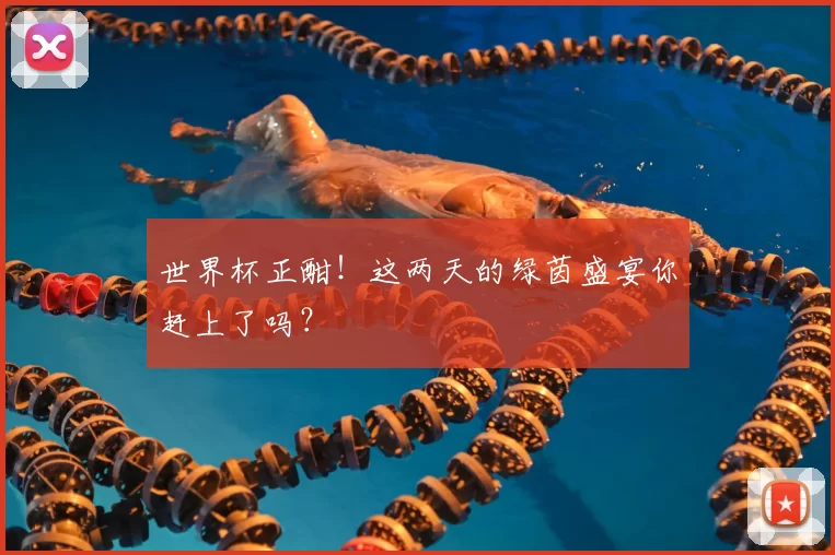 世界杯正酣！这两天的绿茵盛宴你赶上了吗？